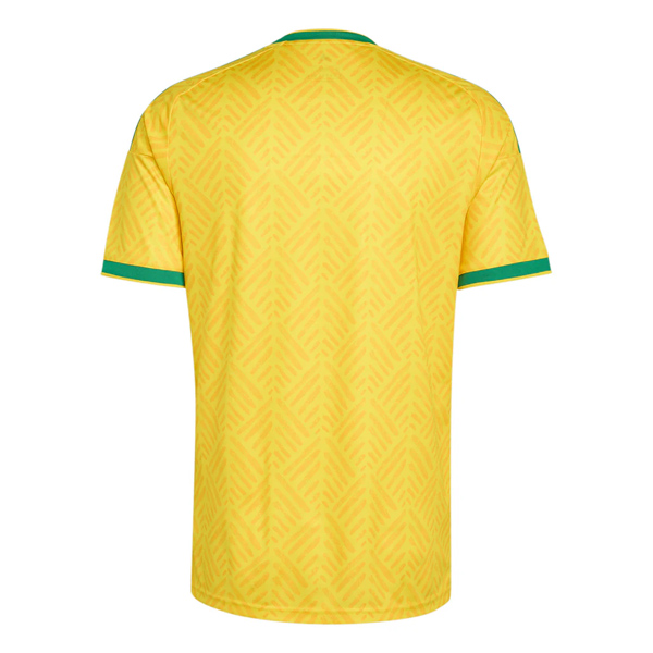 South Africa 2026 (Home) - Image 2
